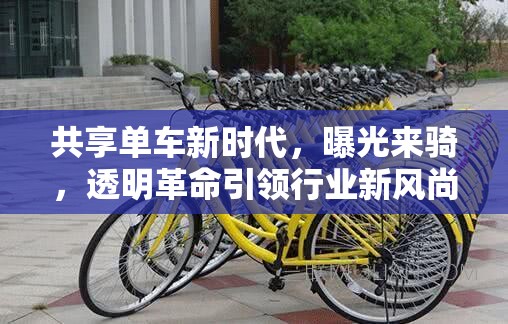 共享單車新時代，曝光來騎，透明革命引領(lǐng)行業(yè)新風(fēng)尚