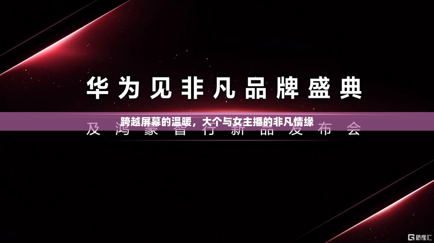 跨越屏幕的溫暖，大個(gè)與女主播的非凡情緣