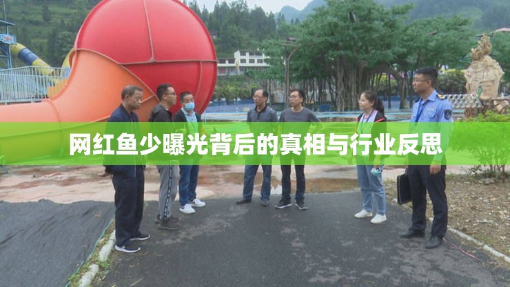 網(wǎng)紅魚少曝光背后的真相與行業(yè)反思