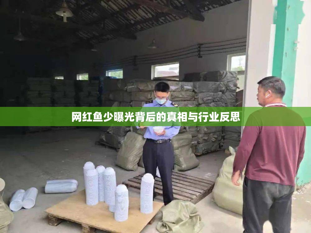 網(wǎng)紅魚少曝光背后的真相與行業(yè)反思