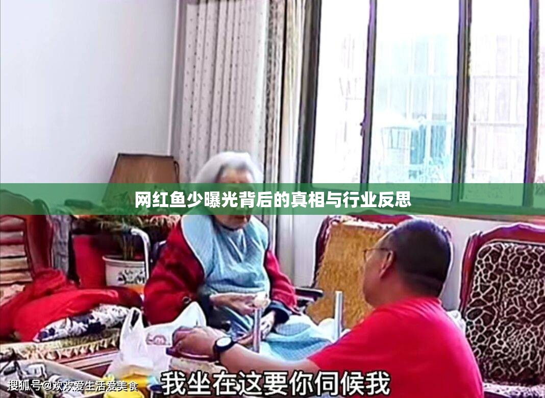 網(wǎng)紅魚少曝光背后的真相與行業(yè)反思