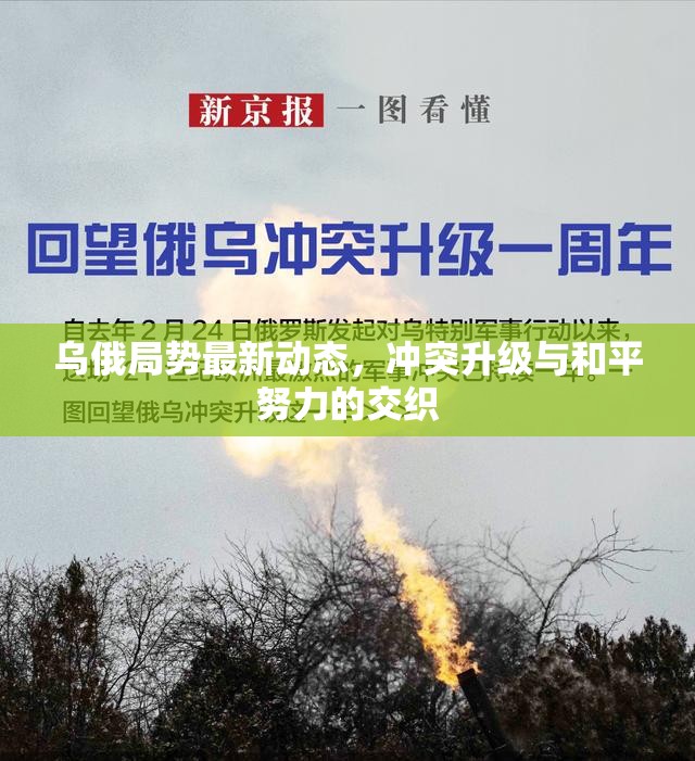 烏俄局勢最新動態(tài)，沖突升級與和平努力的交織