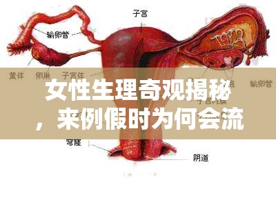 女性生理奇觀揭秘，來(lái)例假時(shí)為何會(huì)流出血塊？