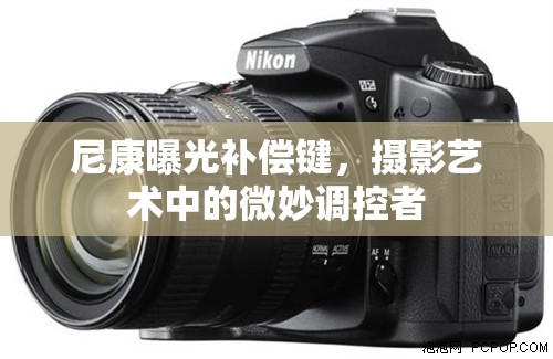 尼康曝光補償鍵，攝影藝術(shù)中的微妙調(diào)控者