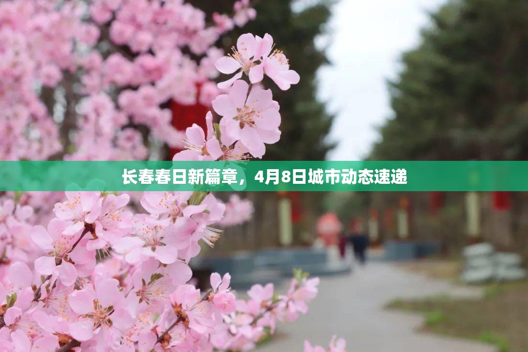 長春春日新篇章，4月8日城市動態(tài)速遞