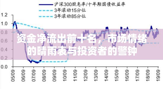 資金凈流出前十名，市場(chǎng)情緒的晴雨表與投資者的警鐘