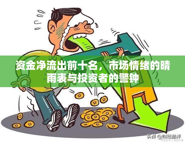 資金凈流出前十名，市場(chǎng)情緒的晴雨表與投資者的警鐘