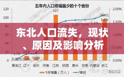 東北人口流失，現(xiàn)狀、原因及影響分析
