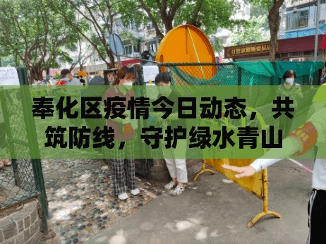 奉化區(qū)疫情今日動態(tài)，共筑防線，守護綠水青山
