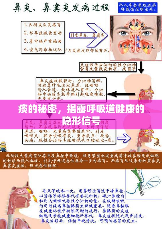 痰的秘密，揭露呼吸道健康的隱形信號