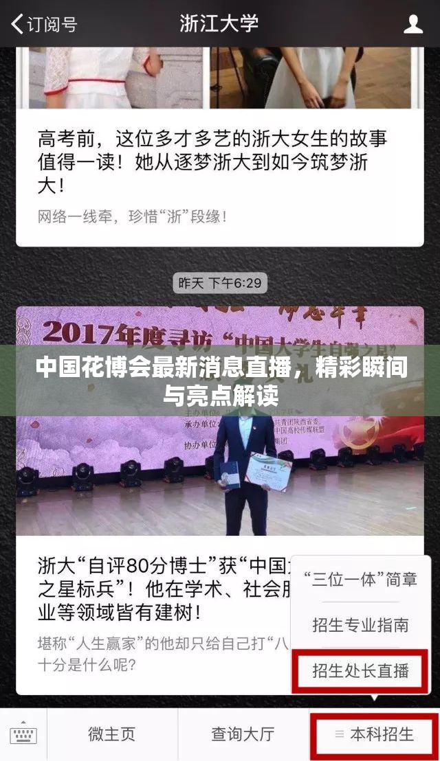 中國花博會最新消息直播，精彩瞬間與亮點解讀