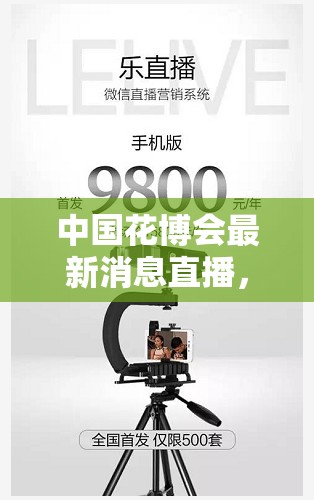 中國花博會最新消息直播，精彩瞬間與亮點解讀