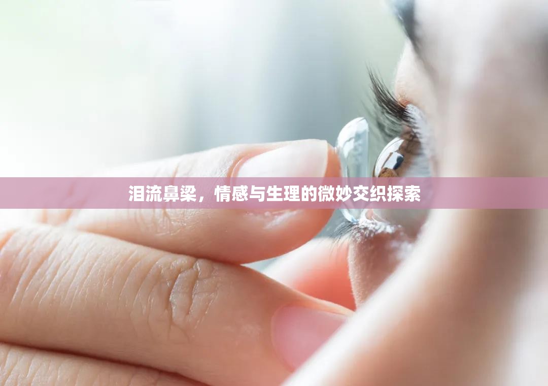 淚流鼻梁，情感與生理的微妙交織探索