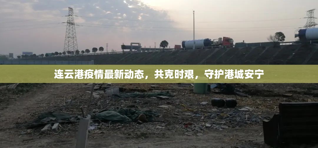 連云港疫情最新動態(tài)，共克時艱，守護港城安寧