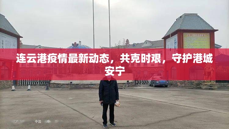 連云港疫情最新動態(tài)，共克時艱，守護港城安寧