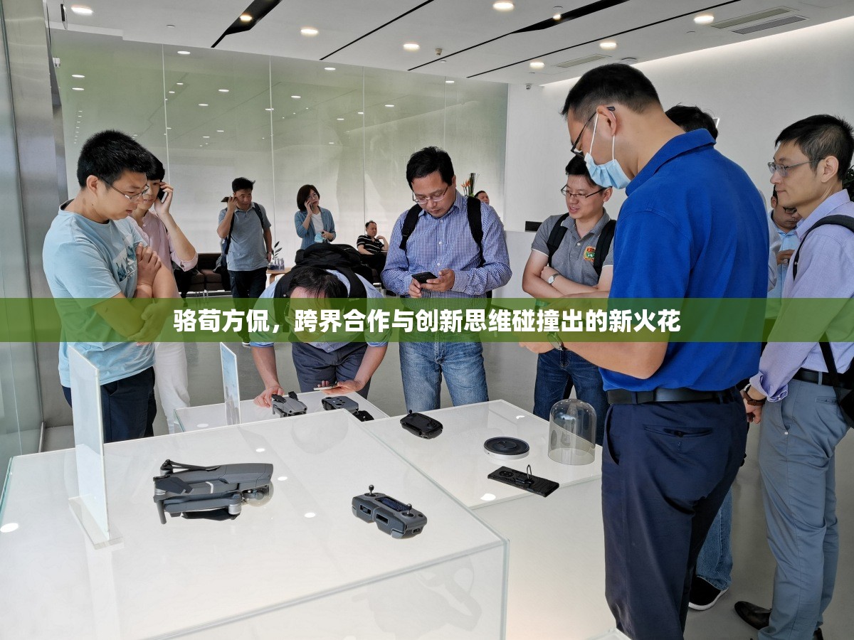 駱荀方侃，跨界合作與創(chuàng)新思維碰撞出的新火花
