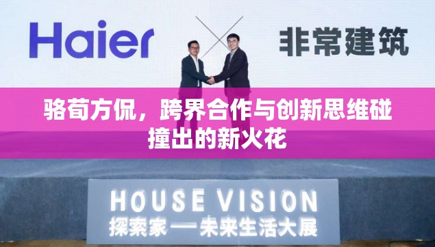 駱荀方侃，跨界合作與創(chuàng)新思維碰撞出的新火花