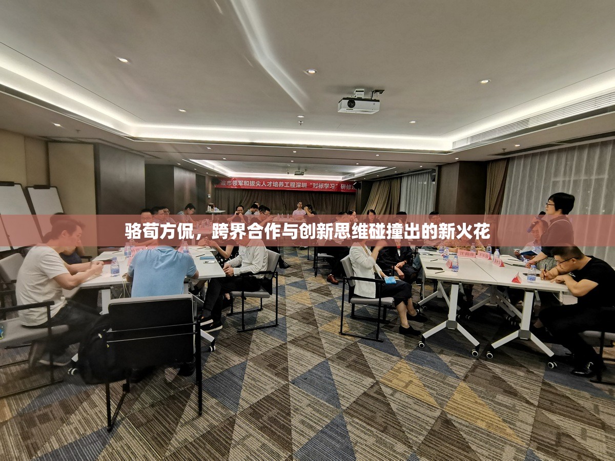 駱荀方侃，跨界合作與創(chuàng)新思維碰撞出的新火花
