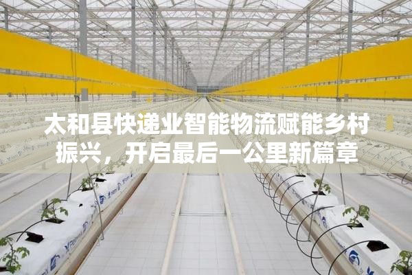 太和縣快遞業(yè)智能物流賦能鄉(xiāng)村振興，開啟最后一公里新篇章