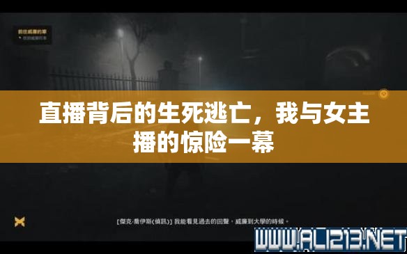 直播背后的生死逃亡，我與女主播的驚險一幕