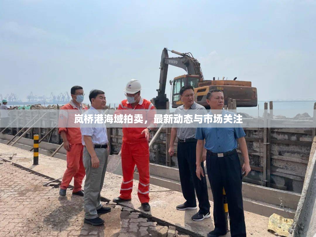 嵐橋港海域拍賣，最新動(dòng)態(tài)與市場關(guān)注