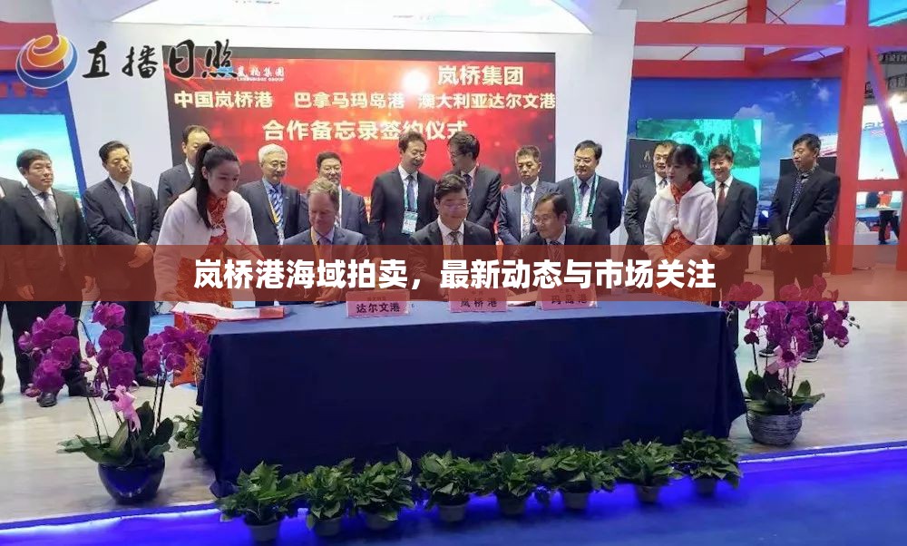 嵐橋港海域拍賣，最新動(dòng)態(tài)與市場關(guān)注