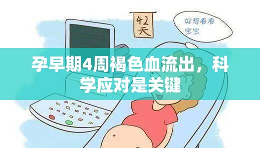 孕早期4周褐色血流出，科學(xué)應(yīng)對是關(guān)鍵