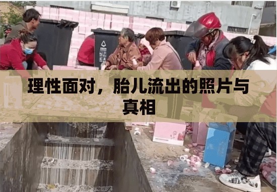 理性面對(duì)，胎兒流出的照片與真相