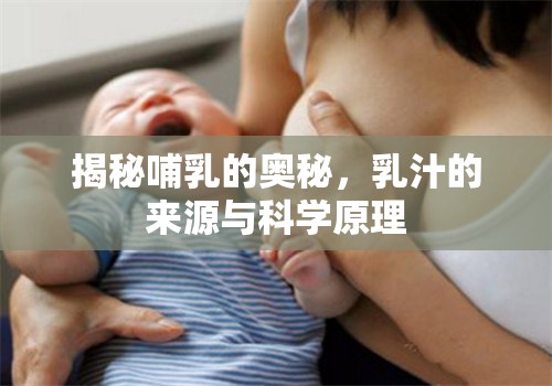 揭秘哺乳的奧秘，乳汁的來(lái)源與科學(xué)原理