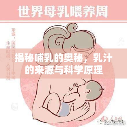 揭秘哺乳的奧秘，乳汁的來(lái)源與科學(xué)原理