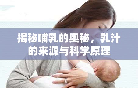 揭秘哺乳的奧秘，乳汁的來(lái)源與科學(xué)原理