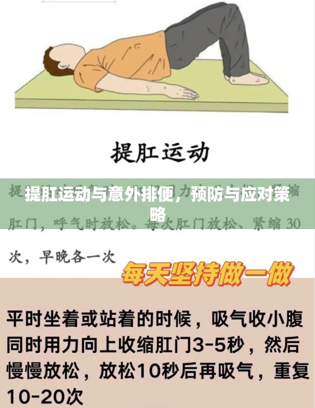提肛運(yùn)動(dòng)與意外排便，預(yù)防與應(yīng)對(duì)策略