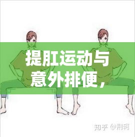 提肛運(yùn)動(dòng)與意外排便，預(yù)防與應(yīng)對(duì)策略