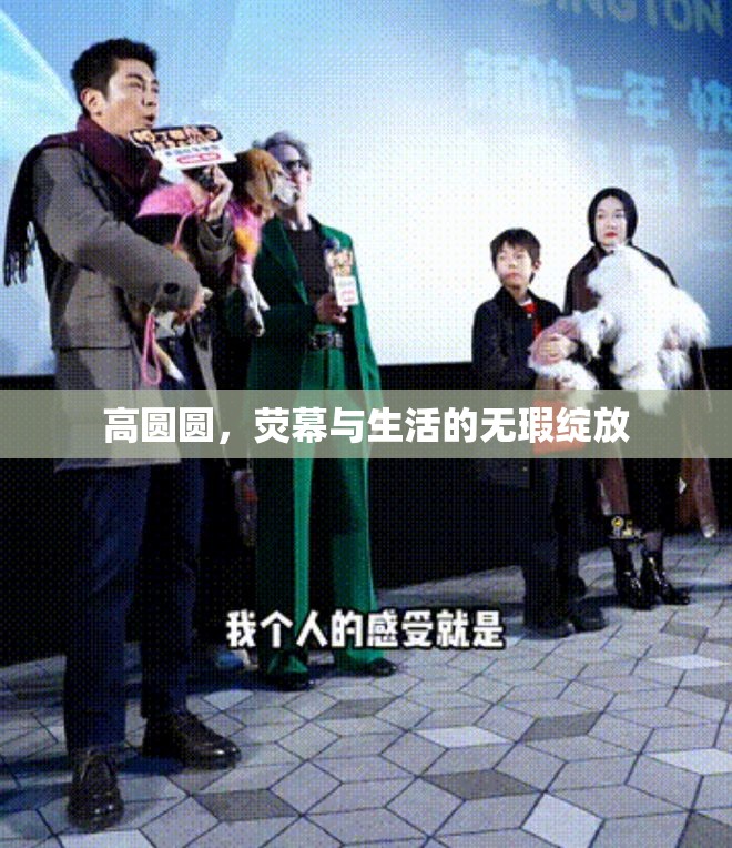 高圓圓，熒幕與生活的無瑕綻放