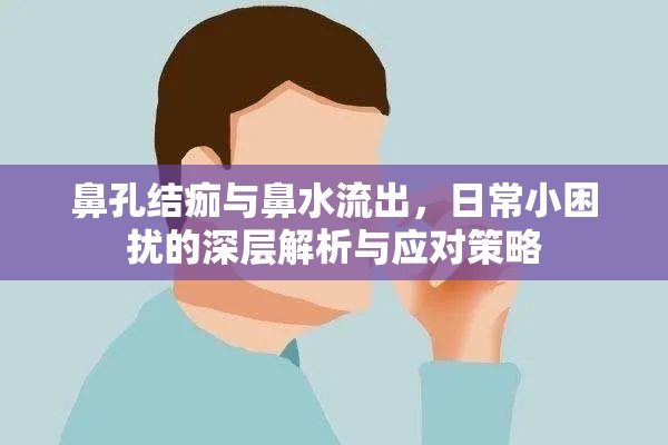 鼻孔結(jié)痂與鼻水流出，日常小困擾的深層解析與應(yīng)對(duì)策略