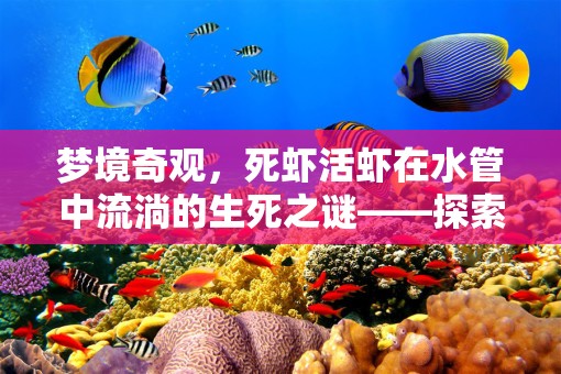 夢境奇觀，死蝦活蝦在水管中流淌的生死之謎——探索夢境中食物象征的深層含義