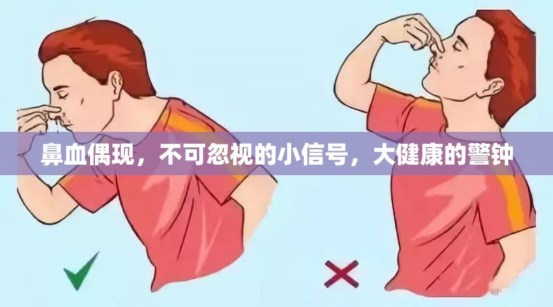 鼻血偶現(xiàn)，不可忽視的小信號，大健康的警鐘