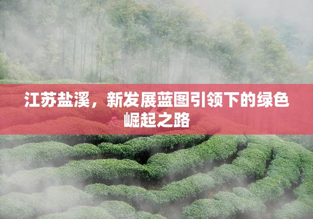 江蘇鹽溪，新發(fā)展藍圖引領下的綠色崛起之路