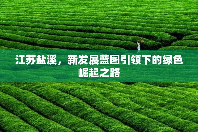 江蘇鹽溪，新發(fā)展藍圖引領下的綠色崛起之路
