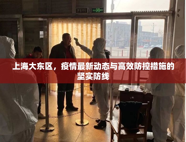 上海大東區(qū)，疫情最新動(dòng)態(tài)與高效防控措施的堅(jiān)實(shí)防線