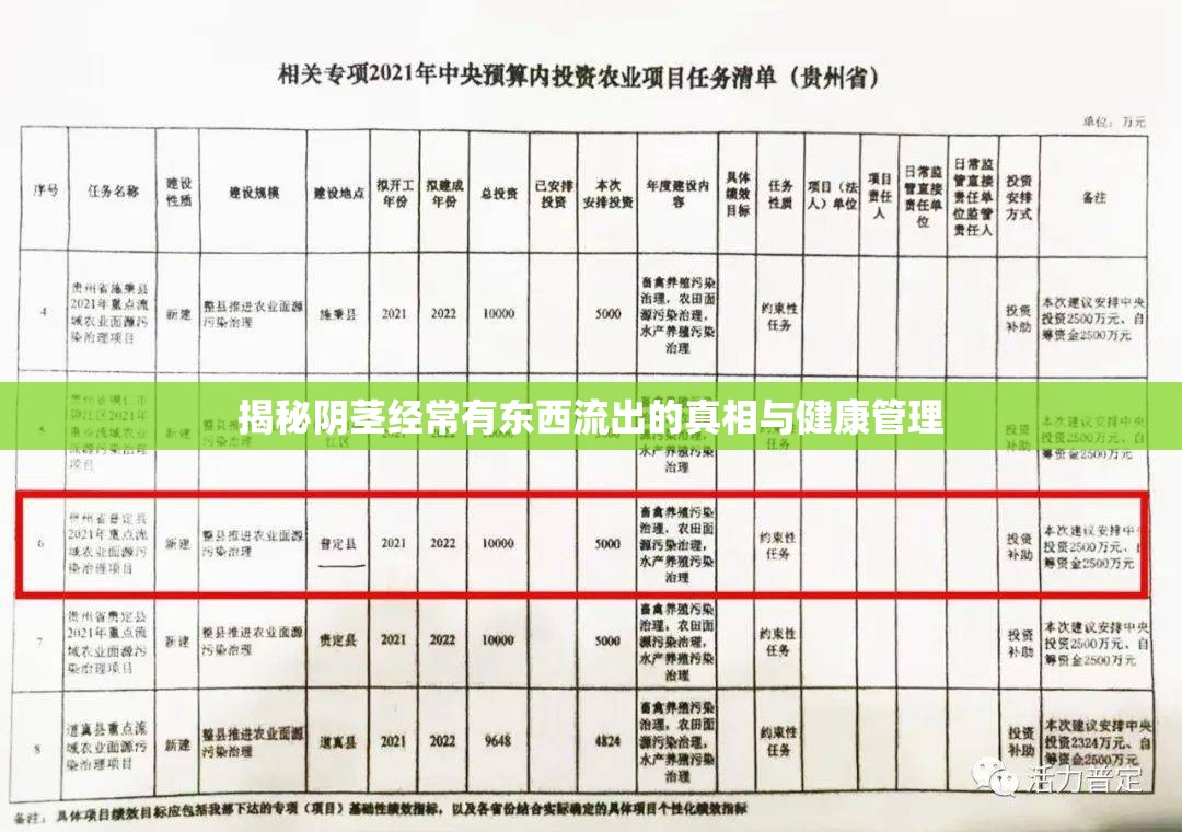 揭秘陰莖經常有東西流出的真相與健康管理