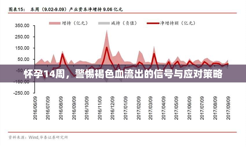 懷孕14周，警惕褐色血流出的信號與應對策略