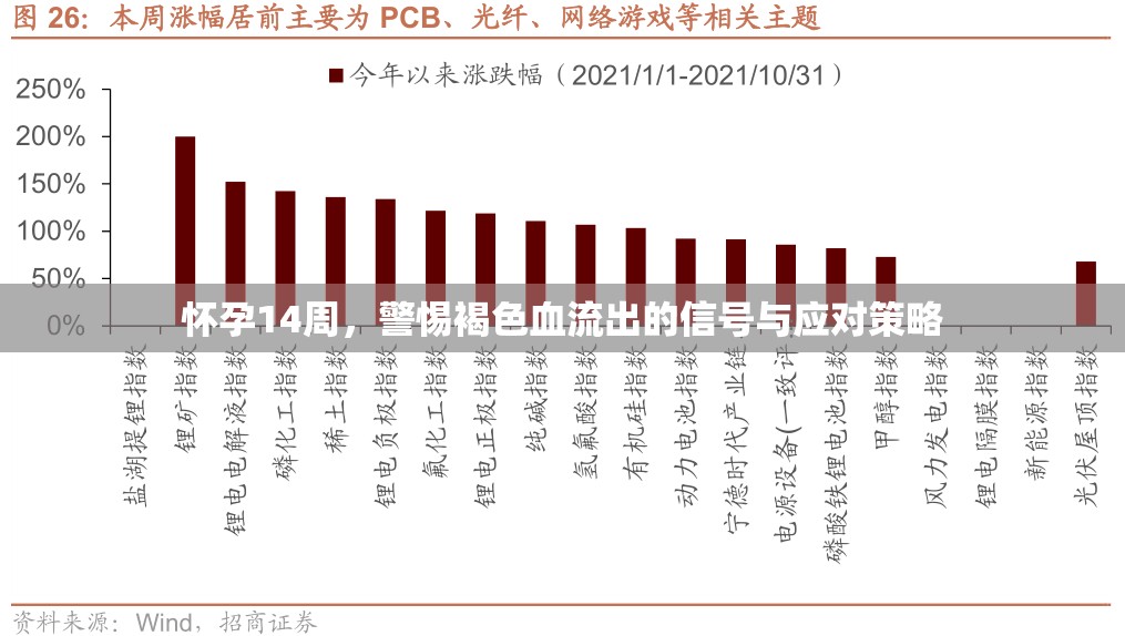 懷孕14周，警惕褐色血流出的信號與應對策略