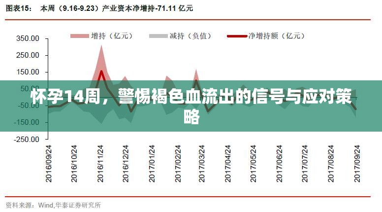 懷孕14周，警惕褐色血流出的信號與應對策略