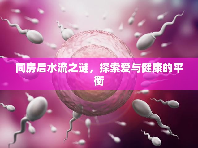 同房后水流之謎，探索愛與健康的平衡