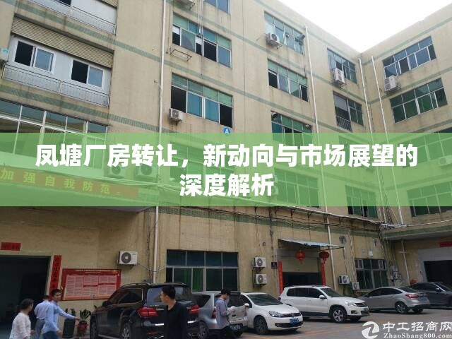 鳳塘廠房轉(zhuǎn)讓，新動(dòng)向與市場(chǎng)展望的深度解析
