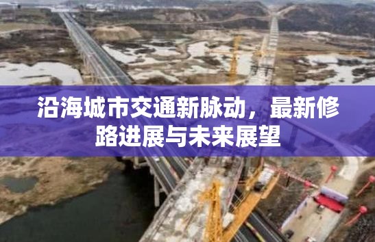 沿海城市交通新脈動(dòng)，最新修路進(jìn)展與未來(lái)展望