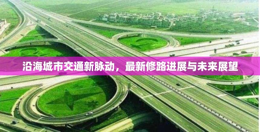 沿海城市交通新脈動(dòng)，最新修路進(jìn)展與未來(lái)展望