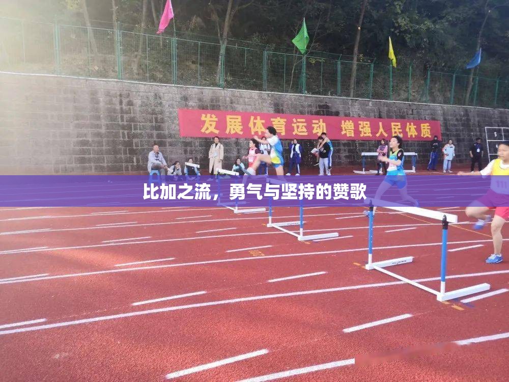 比加之流，勇氣與堅(jiān)持的贊歌