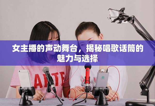 女主播的聲動(dòng)舞臺(tái)，揭秘唱歌話(huà)筒的魅力與選擇
